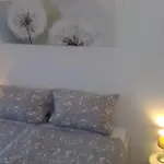 Apartment Ankommen Und Wohlfuehlen 2 Bad Bergzabern